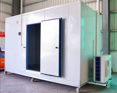 Cold Storage Room with Refrigeration System